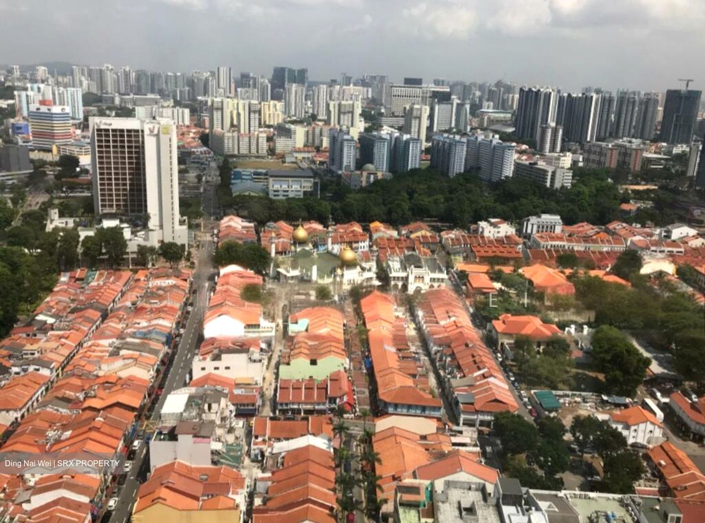 The Plaza (D7), Apartment #503684591